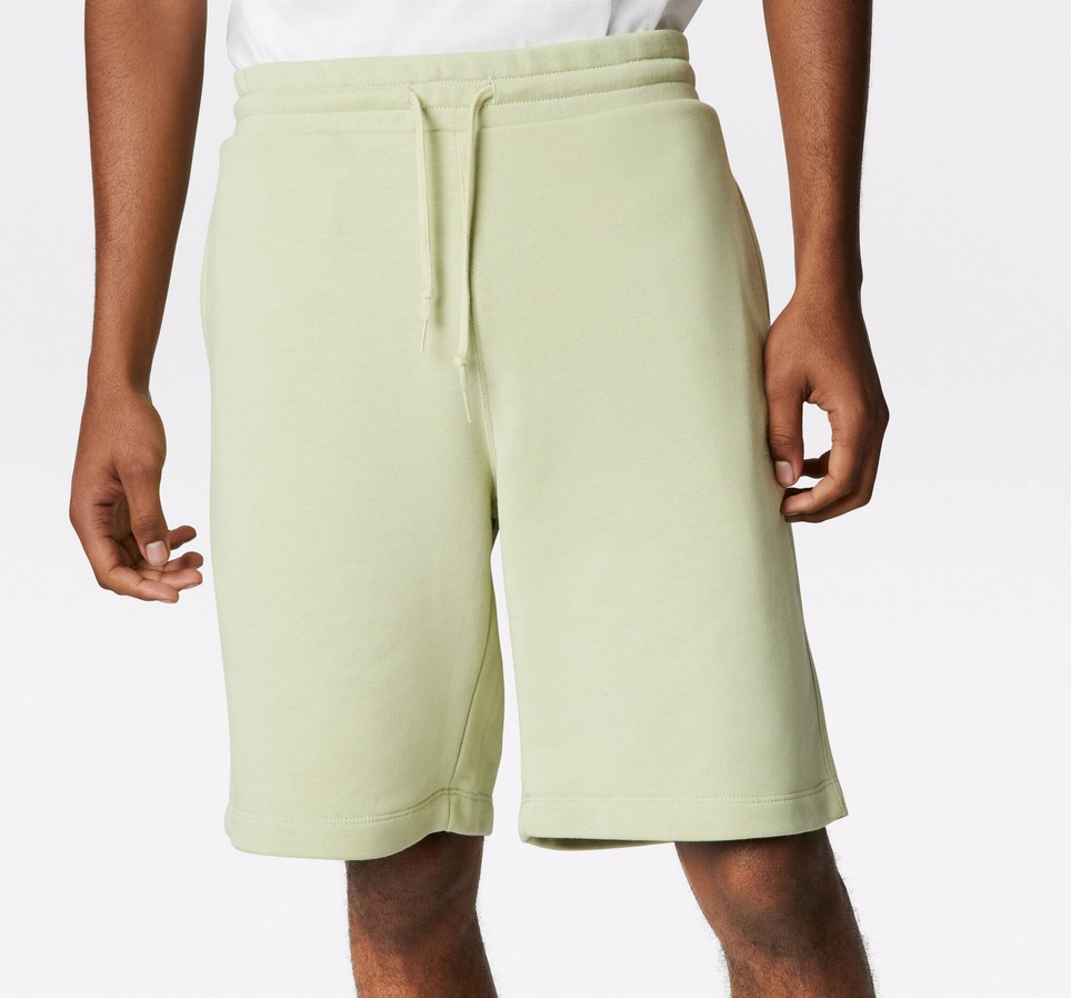 Embroidered Star Chevron French Terry Shorts