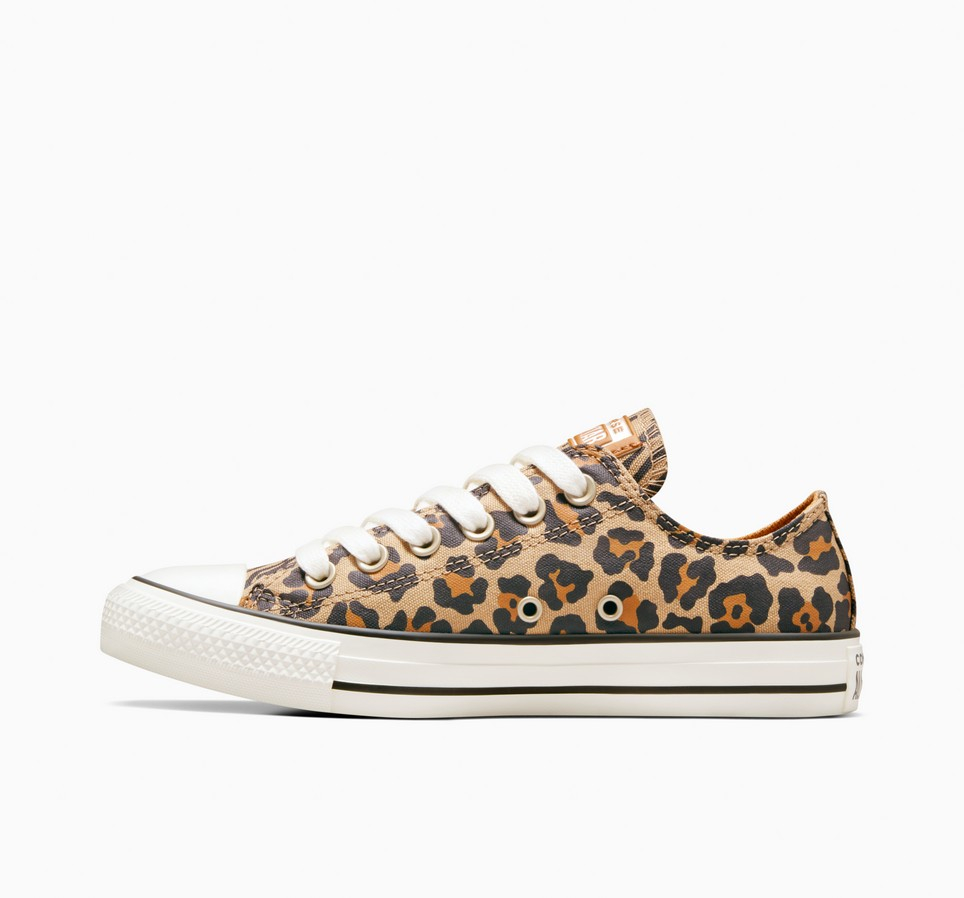 Chuck Taylor All Star Leopard
