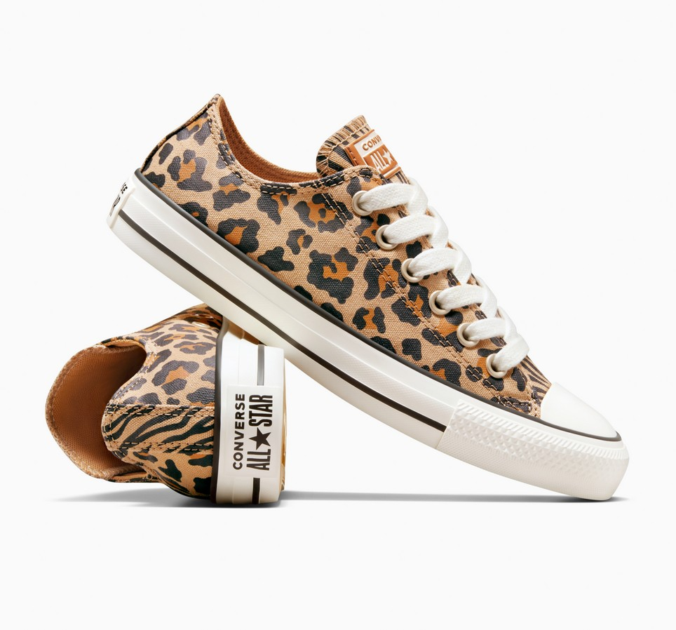 Chuck Taylor All Star Leopard