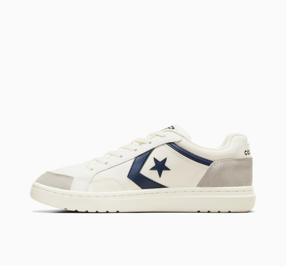 Pro Blaze Classic Retro '90s Low Top
