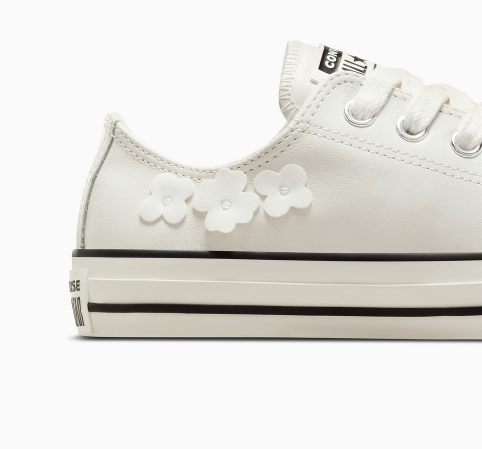 Chuck Taylor All Star