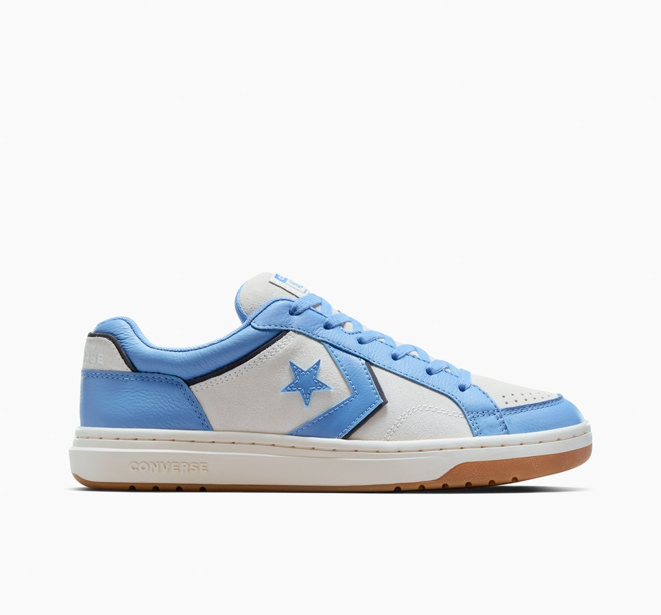 Pro Blaze Classic Leather & Suede