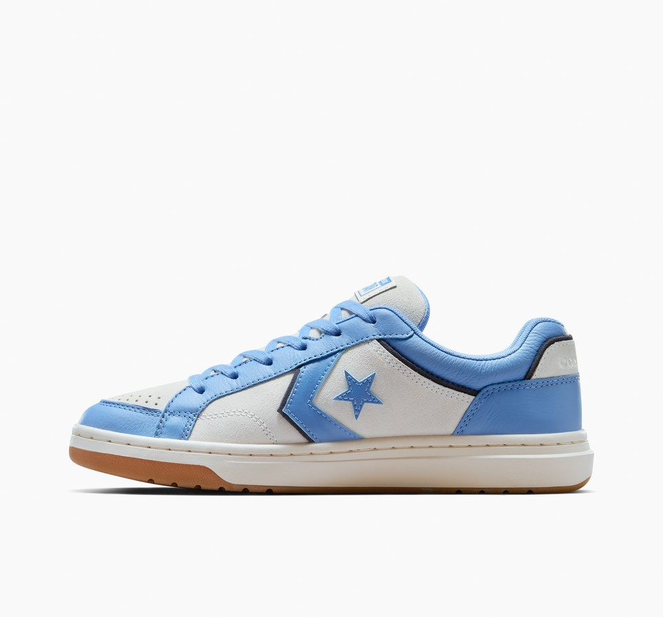 Pro Blaze Classic Leather & Suede