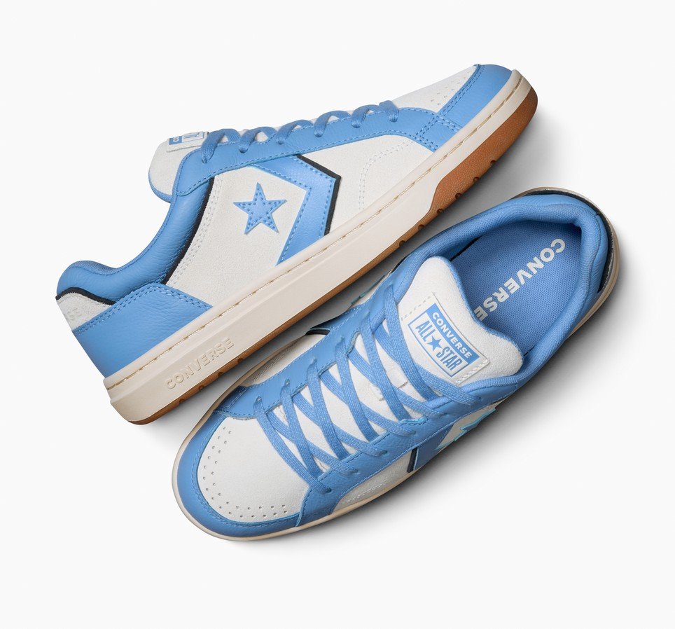 Pro Blaze Classic Leather & Suede