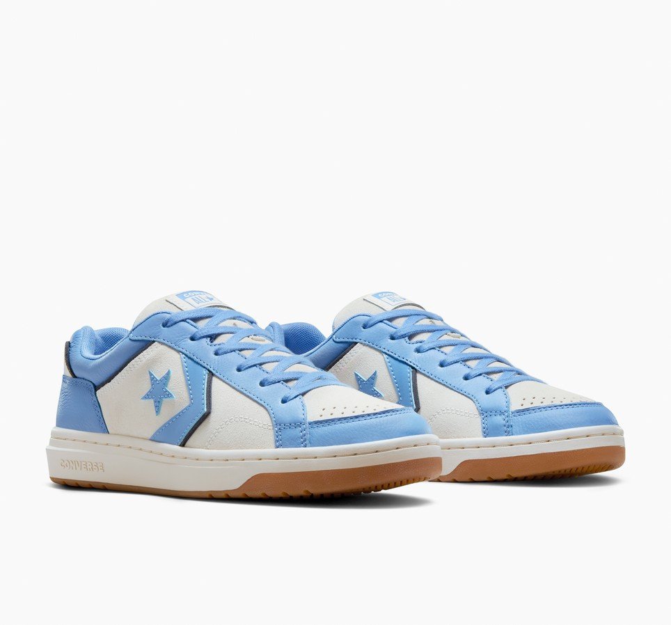 Pro Blaze Classic Leather & Suede