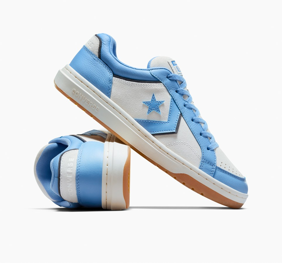 Pro Blaze Classic Leather & Suede