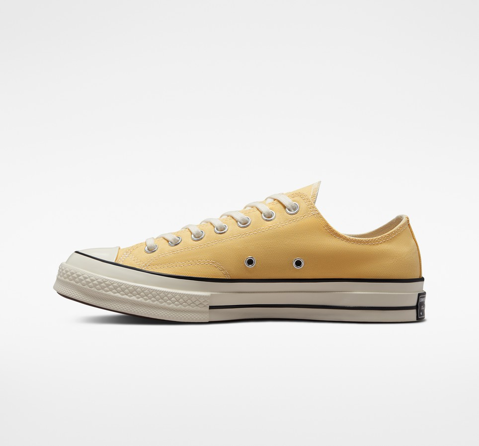 Chuck 70 Seasonal Color