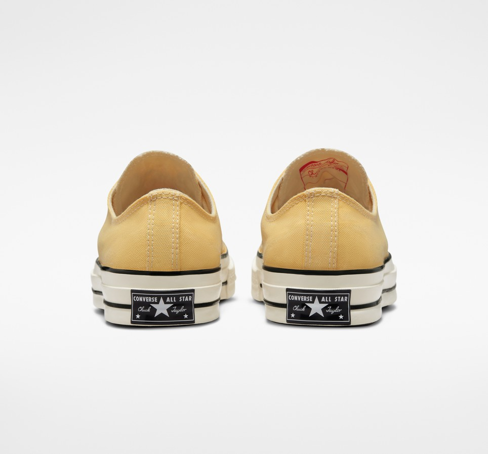 Chuck 70 Seasonal Color