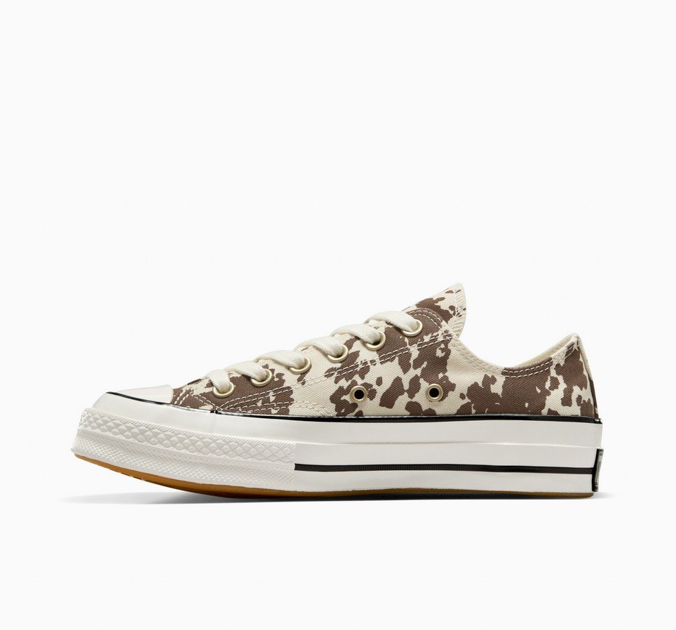 Chuck 70 Animal Print