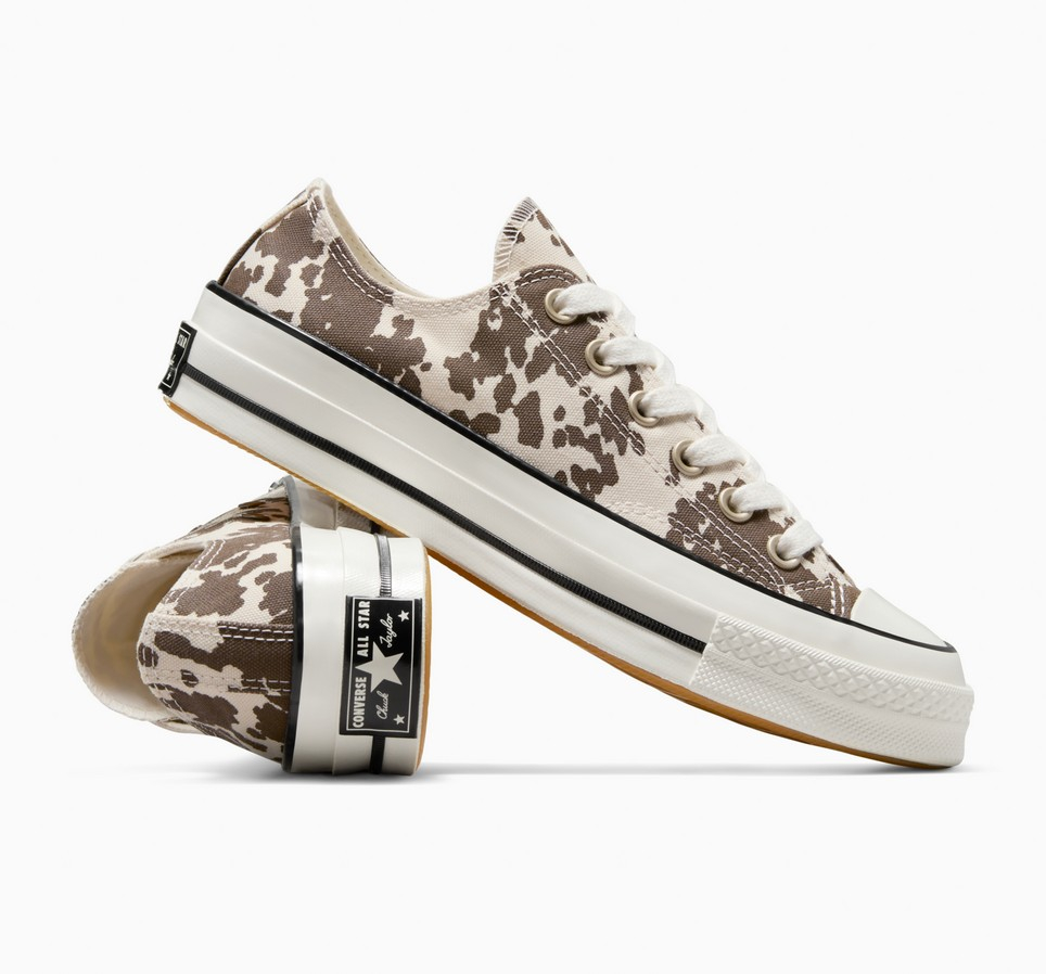 Chuck 70 Animal Print